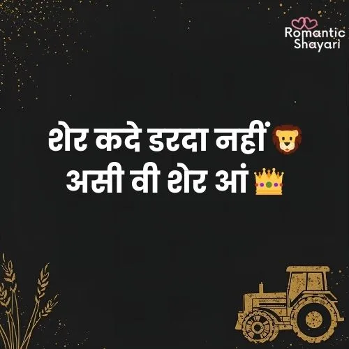 Punjabi Attitude Shayari 😎