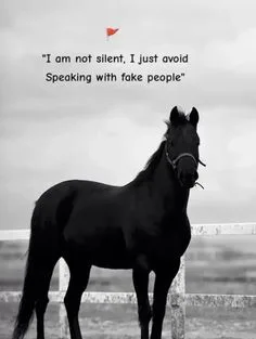 attitude shayari🔥 copy english