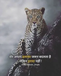 attitude shayari🔥 copy instagram boy