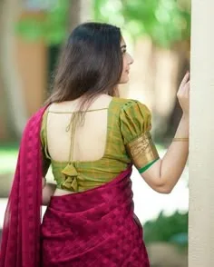 back neck latest blouse designs